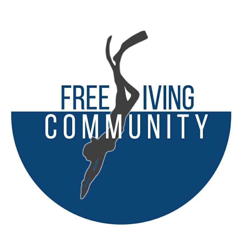 Vertical Freedivers logo