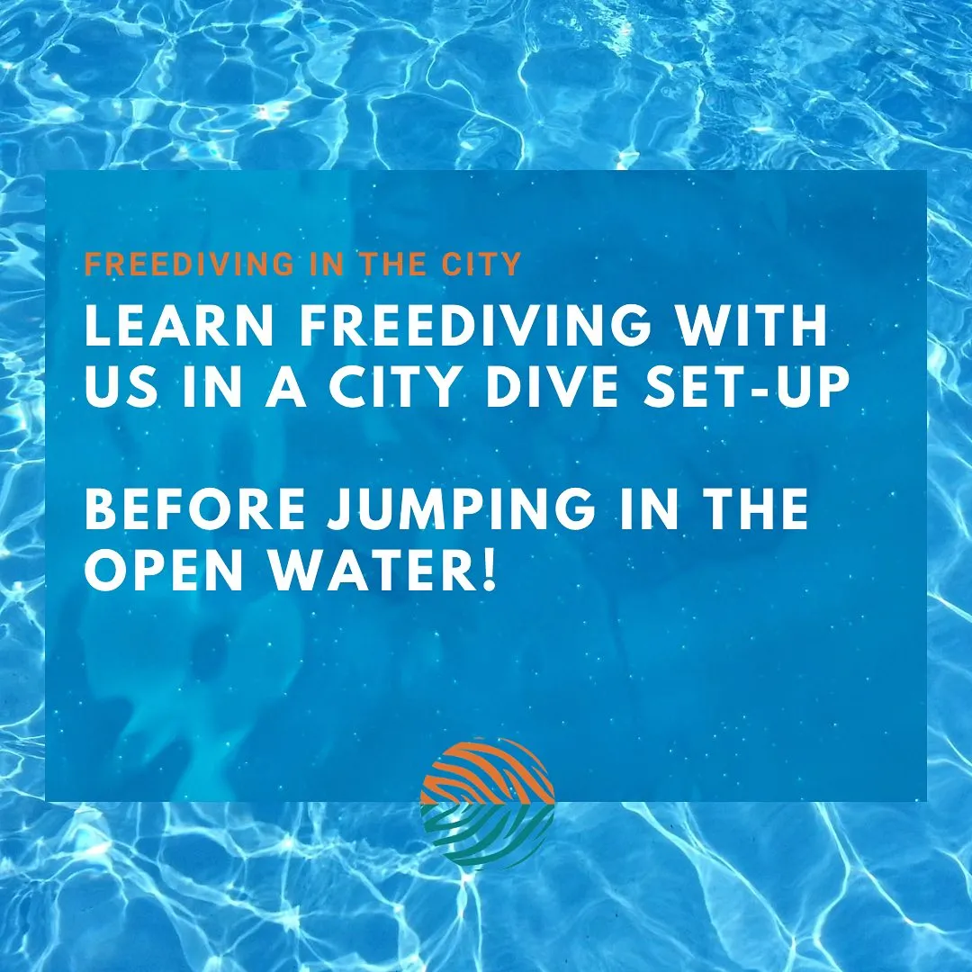 Tiger Freediving gallery 3