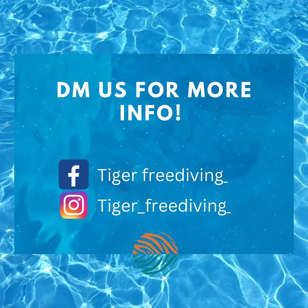 Tiger Freediving gallery 4