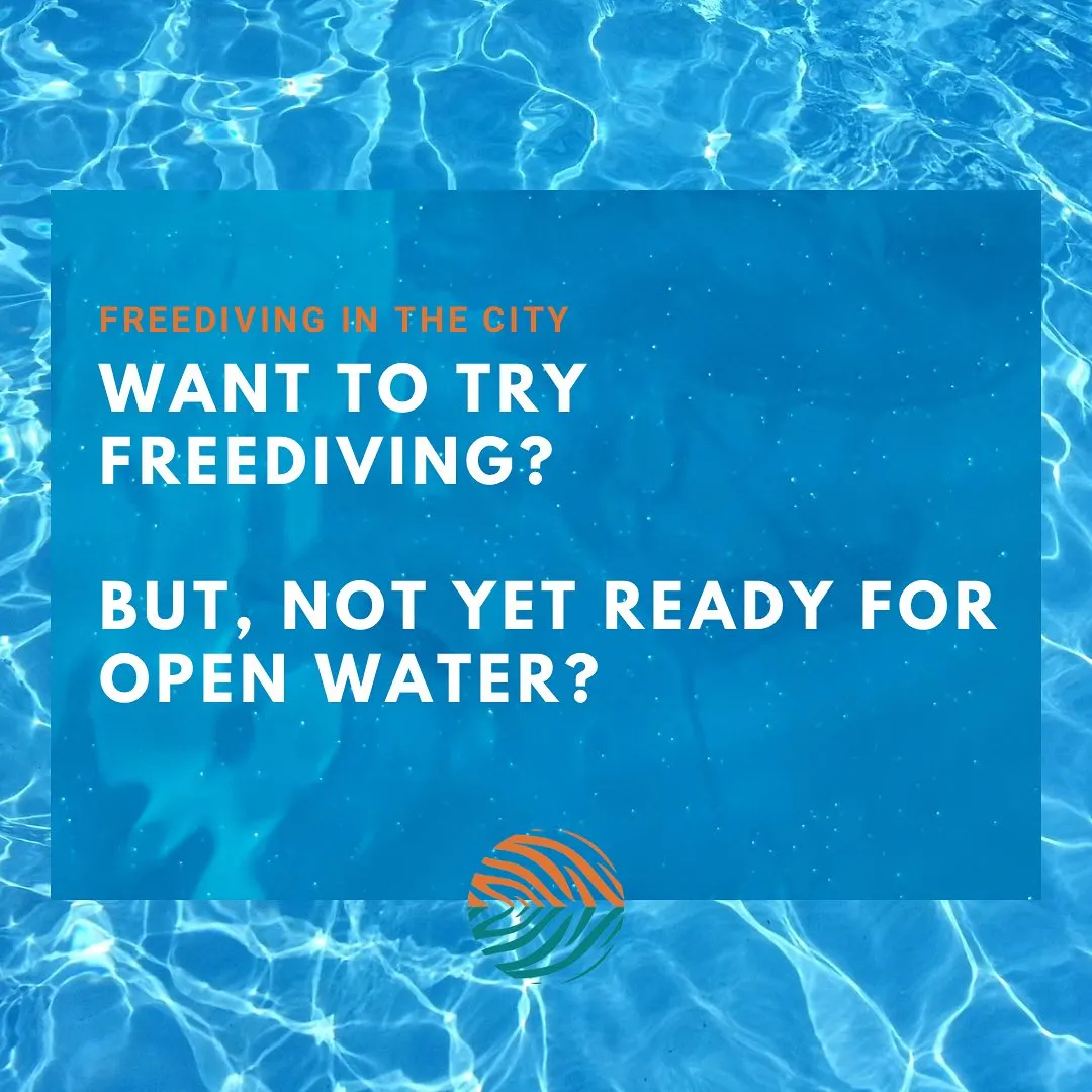 Tiger Freediving gallery 2
